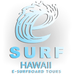 E-Surf Hawaii LLC 