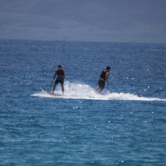 Two people paddleboarding on a calm ocean under a clear sky.