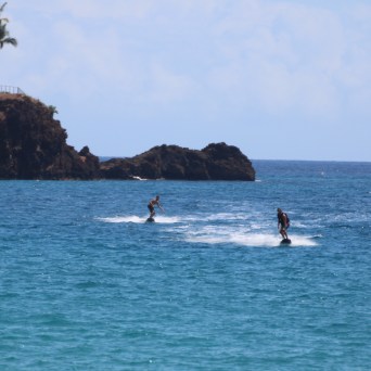 Two people paddleboarding near rocky shore with palm trees.