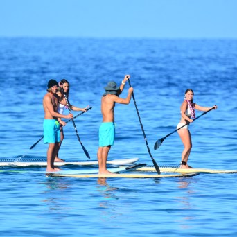 Four people stand-up paddleboarding on a calm ocean under a clear blue sky.